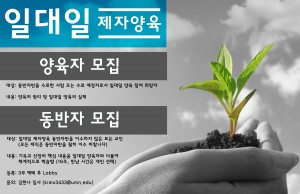 일대일 양육자 2018